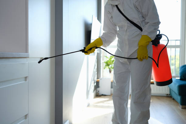 Attic Mold Removal in Osceola, WI