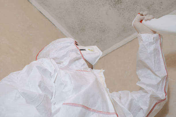 Best Mold Cleaning Services  in Osceola, WI